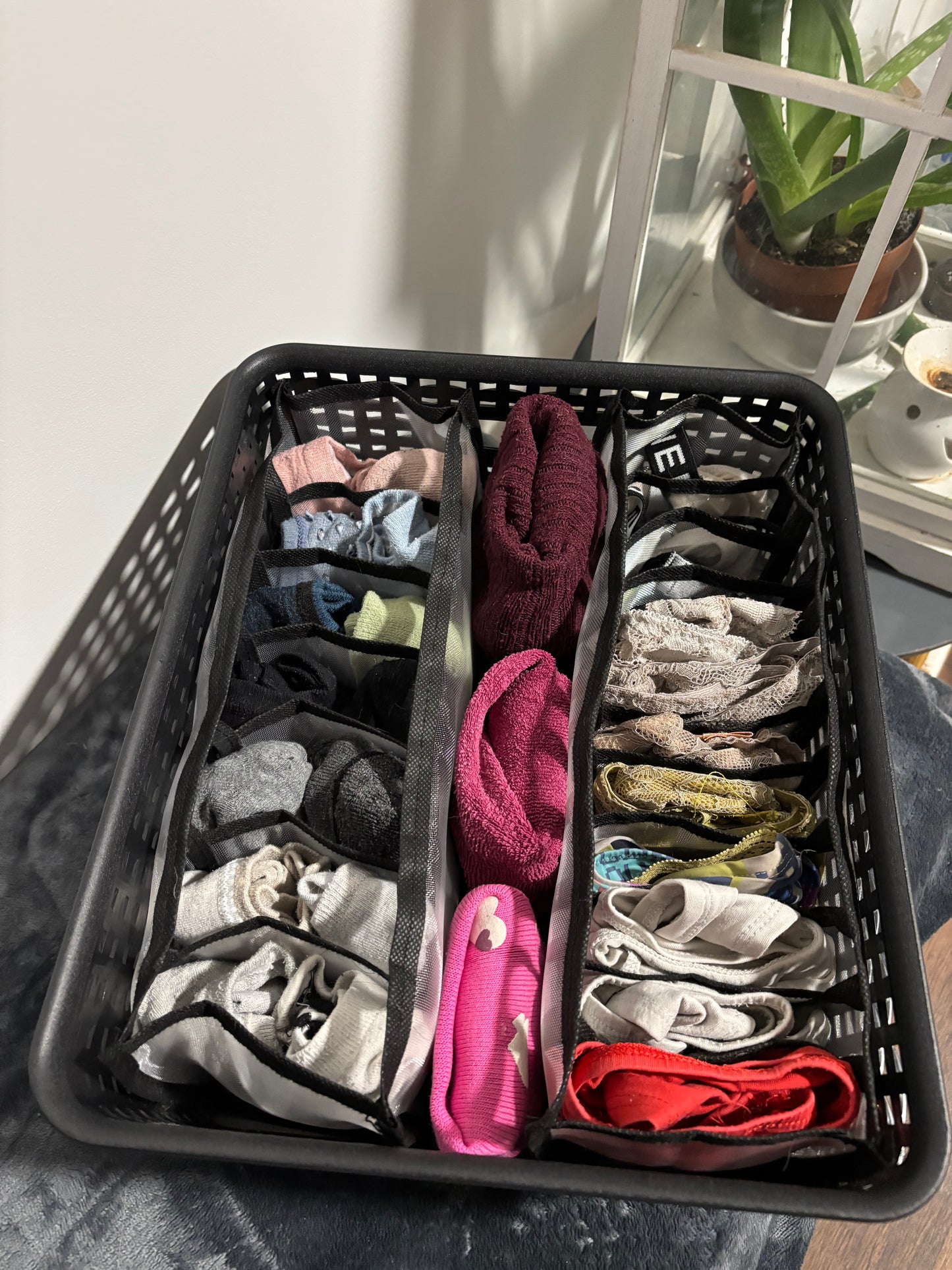 Trieur à sous-vêtements